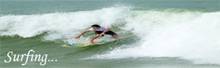 Surfing copy.jpg